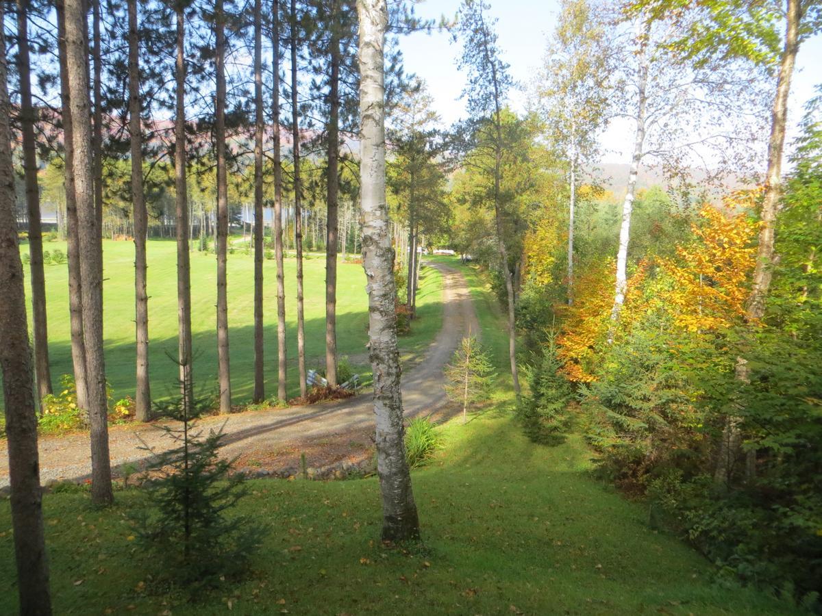 La Maison Sous Les Arbres Saint Roch de Mekinac Exteriér fotografie