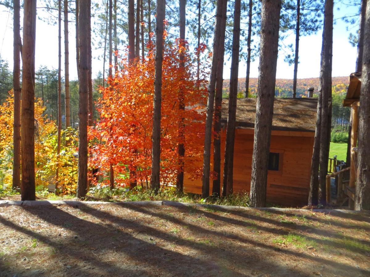 La Maison Sous Les Arbres Saint Roch de Mekinac Exteriér fotografie