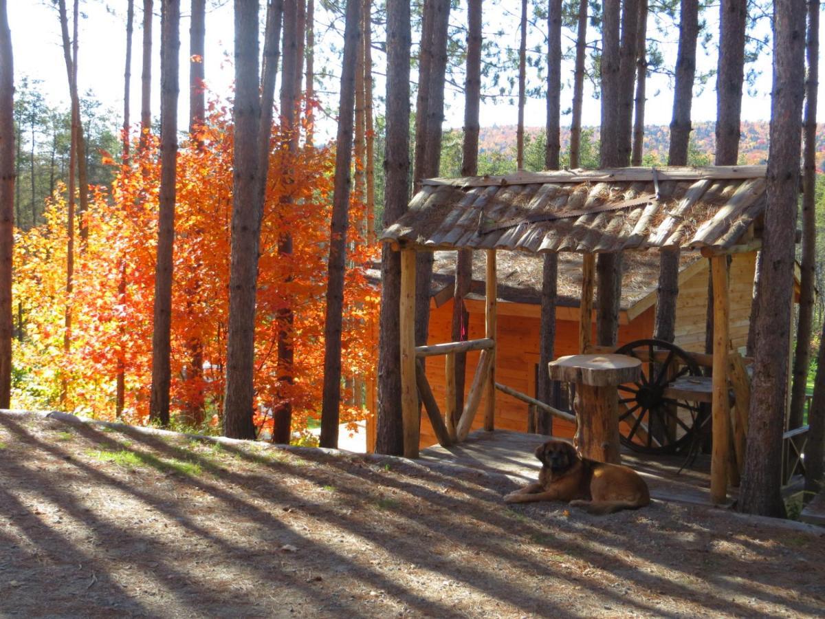 La Maison Sous Les Arbres Saint Roch de Mekinac Exteriér fotografie